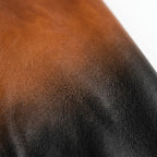Mens Premium Lambskin Gradient Fade Ombre Leather Bomber | Cognac-to-Black  Artistic | Hand-Painted Masterpiece Jacket